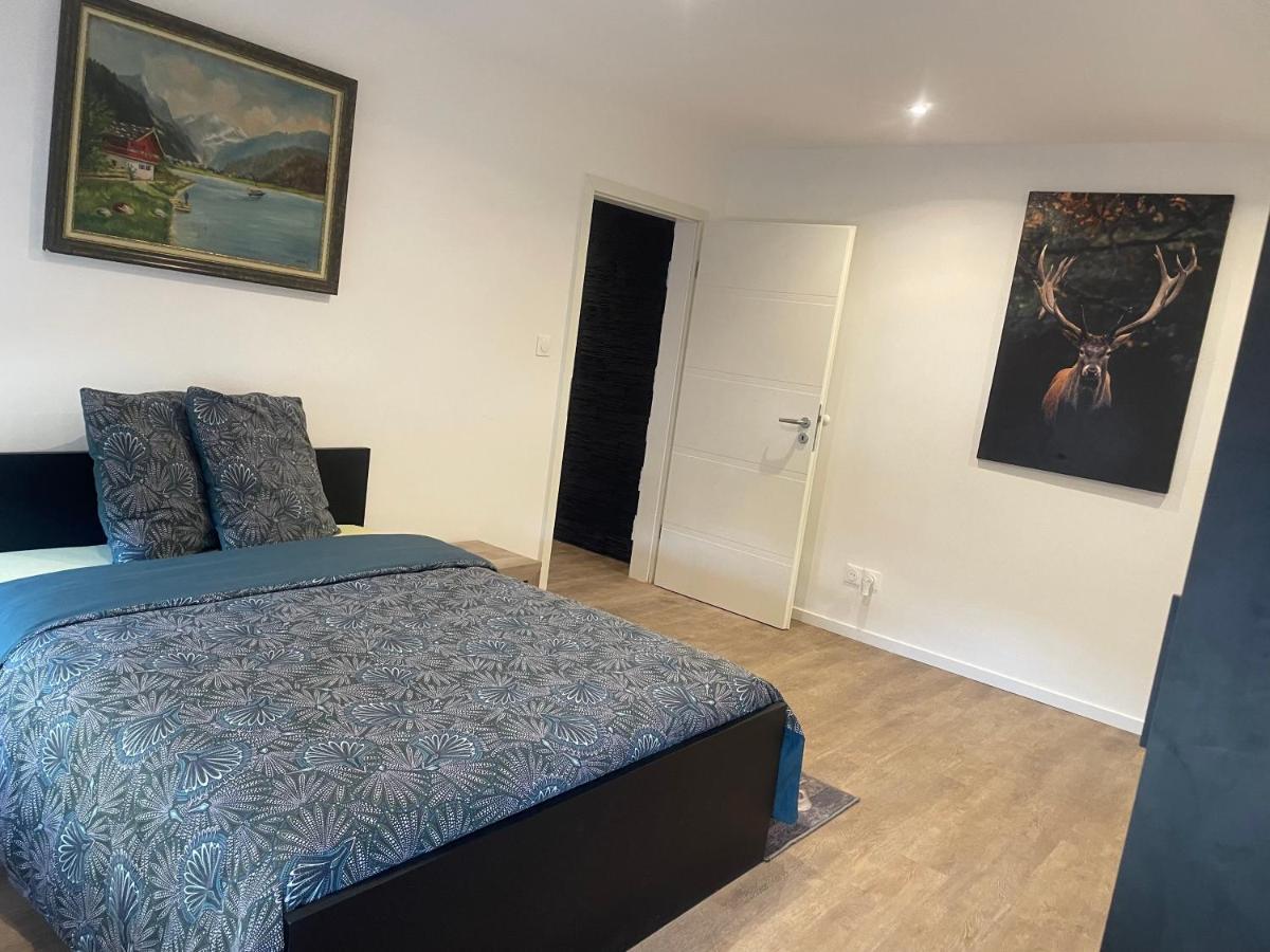 Superbe Appartement Au Rdc Avec Cheminee Villerupt Luaran gambar